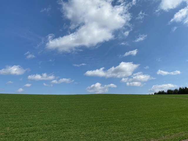 202104292bl.jpg