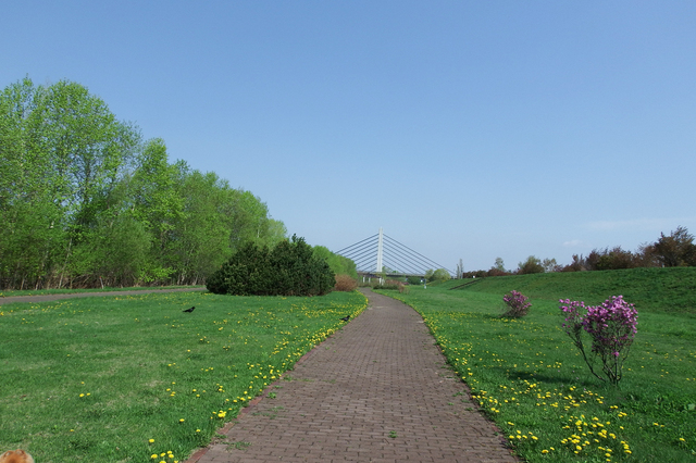 DSCF1136-s4.jpg