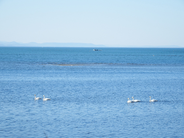 DSCF4102-2s.jpg