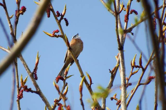 DSCF5807-3s.jpg