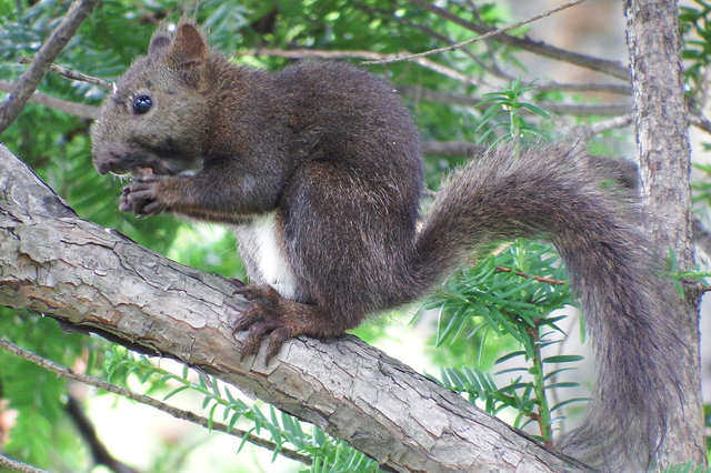DSCF7171-3s.jpg