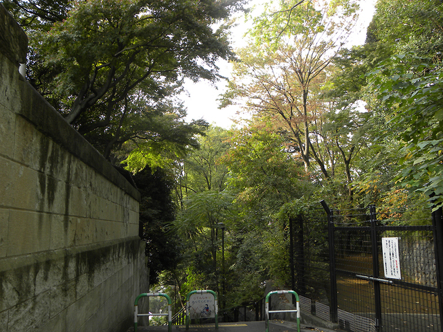 DSCN0892-2.jpg