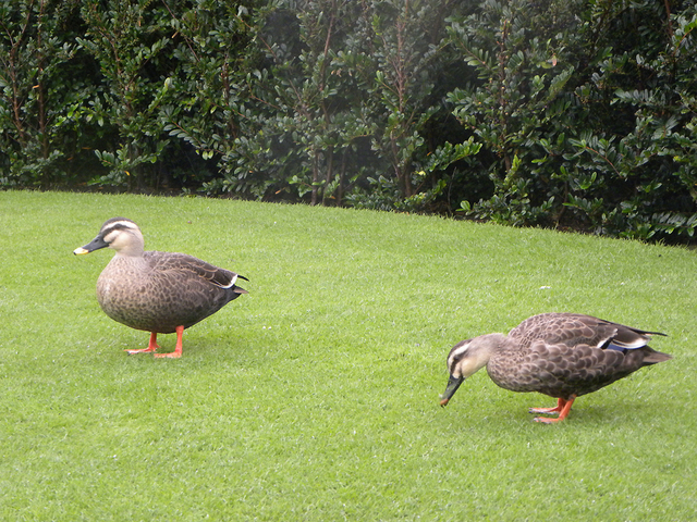 DSCN0922-2.jpg
