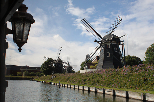 IMG_7500-2.jpg